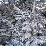 img-0173.jpg