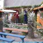 img-0184.jpg