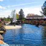 img-9595.jpg