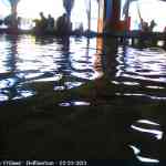 img-9608.jpg