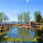 img-9614.jpg