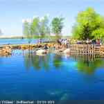 img-9617.jpg