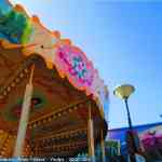 img-3649.jpg