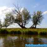 biesbosch-30-08-2018-0026.jpg