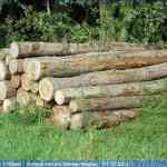 img-4038.jpg