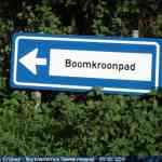 img-4041.jpg