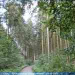 img-4042.jpg