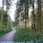 img-4043.jpg