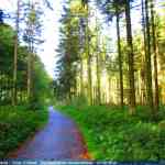 img-4044.jpg