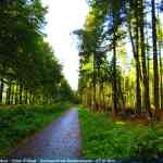 img-4045.jpg