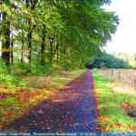 img-4048.jpg