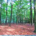 img-4054.jpg