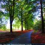 img-4055.jpg
