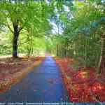 img-4056.jpg