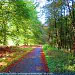 img-4058.jpg