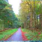 img-4059.jpg