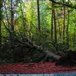 img-4060.jpg