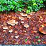 img-4062.jpg