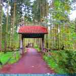 img-4064.jpg