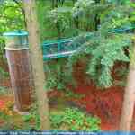 img-4077.jpg