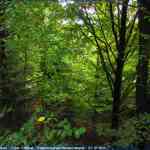 img-4078.jpg