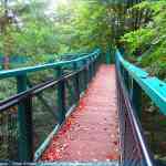 img-4080.jpg