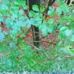 img-4082.jpg