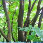 img-4083.jpg