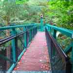 img-4085.jpg