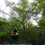 img-4086.jpg