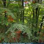 img-4088.jpg