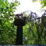 img-4094.jpg