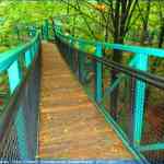 img-4095.jpg