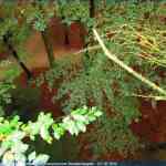 img-4096.jpg
