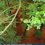 img-4097.jpg