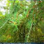 img-4099.jpg
