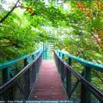 img-4101.jpg