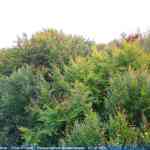 img-4114.jpg