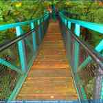 img-4116.jpg