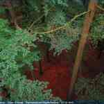 img-4118.jpg