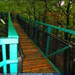 img-4122.jpg