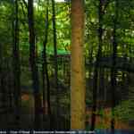 img-4123.jpg