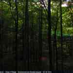 img-4124.jpg