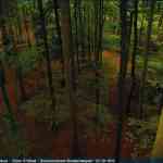 img-4126.jpg