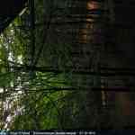 img-4127.jpg