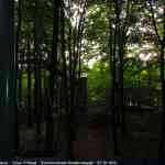 img-4129.jpg