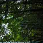 img-4131.jpg