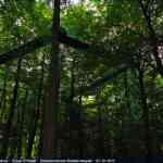 img-4132.jpg