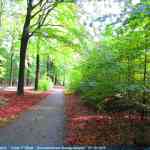 img-4133.jpg