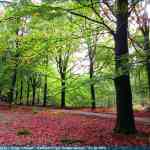 img-4135.jpg
